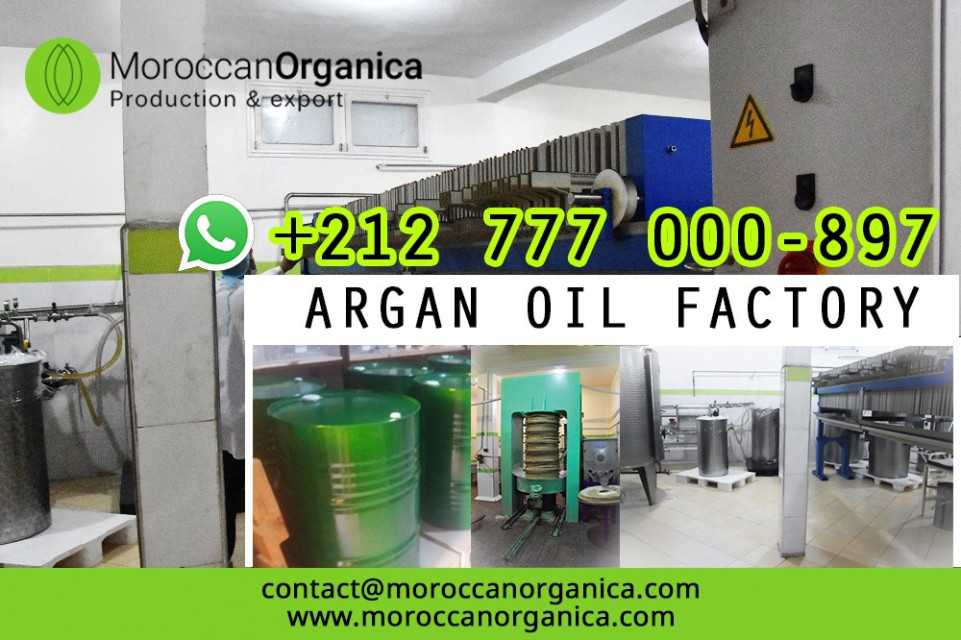 Organica Group Sarl
